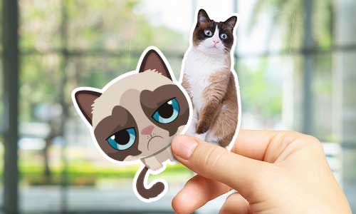 Cat Stickers | Decals.com