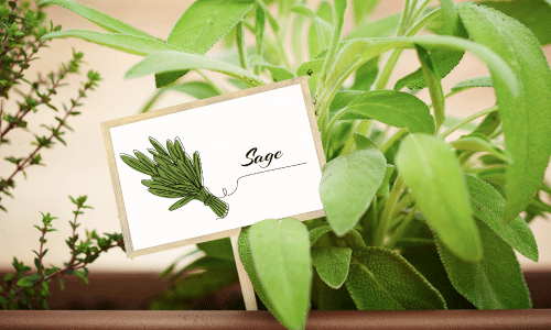 Garden Label